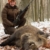 Schwarzwildfieber 8 (Wild Boar Fever 8) Hunters Video No. 113 - 
