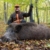 Schwarzwildfieber 8 (Wild Boar Fever 8) Hunters Video No. 113 - 